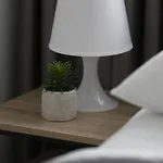 Apartment Bright With Air Conditioning In The Capital By Renters *