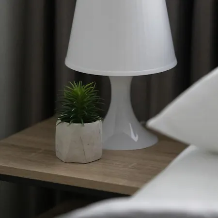 Apartment Bright With Air Conditioning In The Capital By Renters *